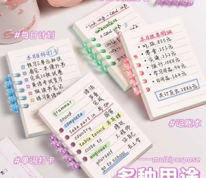 notebook (6)