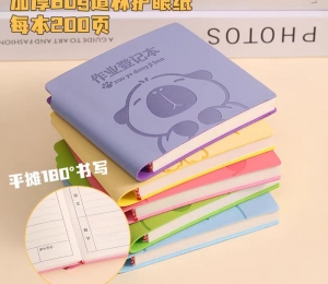 notebook (34)